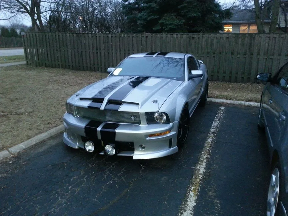 mustang.webp