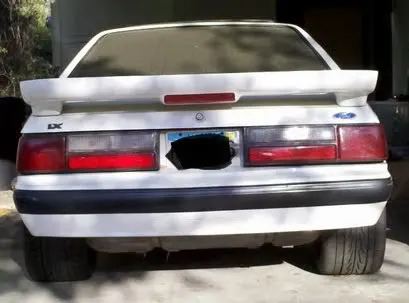 mustang.webp
