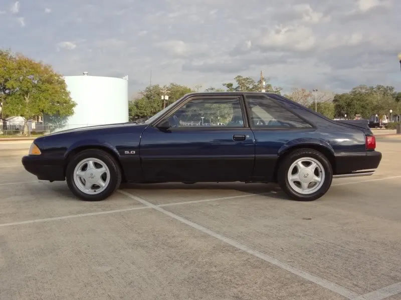 Mustang.webp