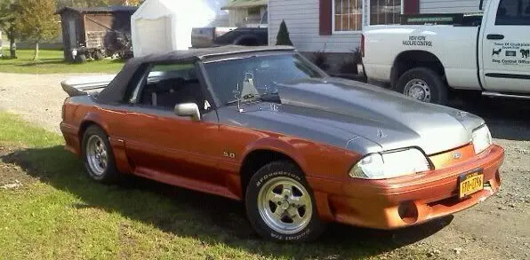 mustang.webp
