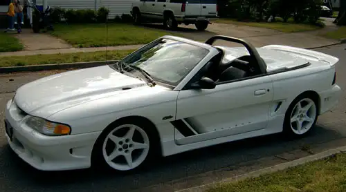 mustang.webp