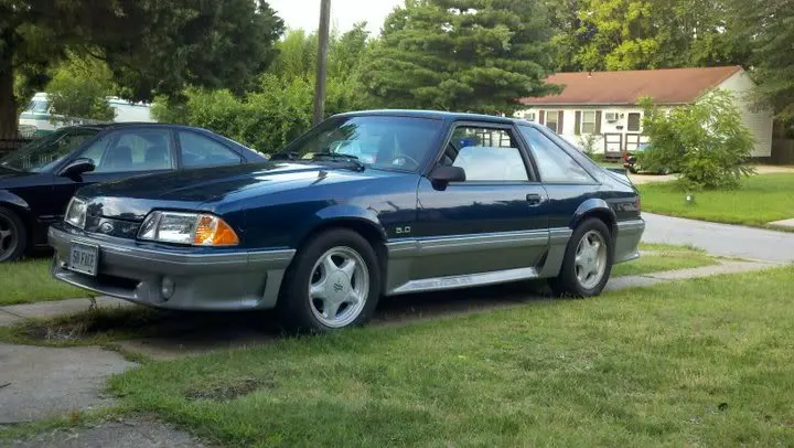 Mustang.webp