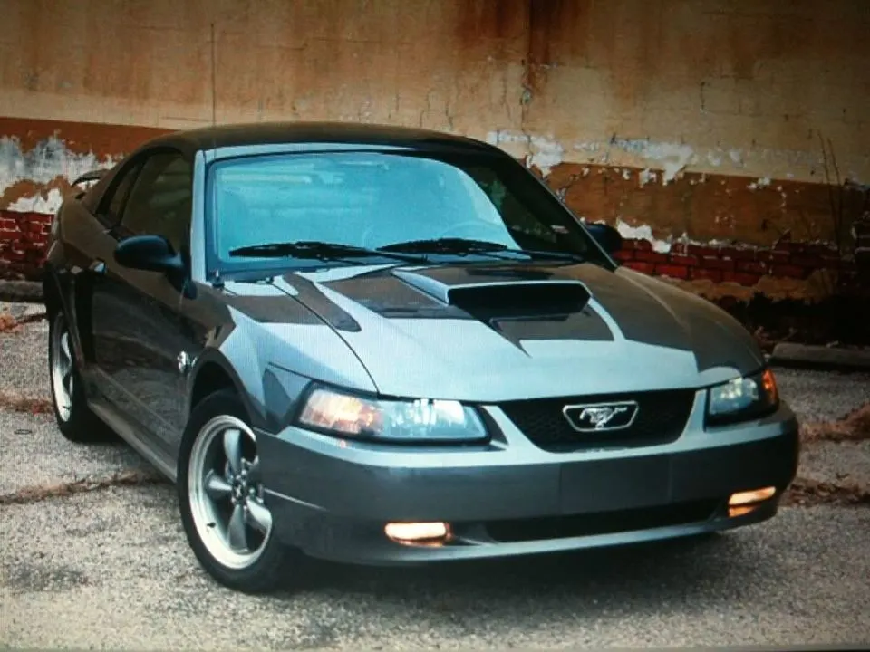 mustang.webp