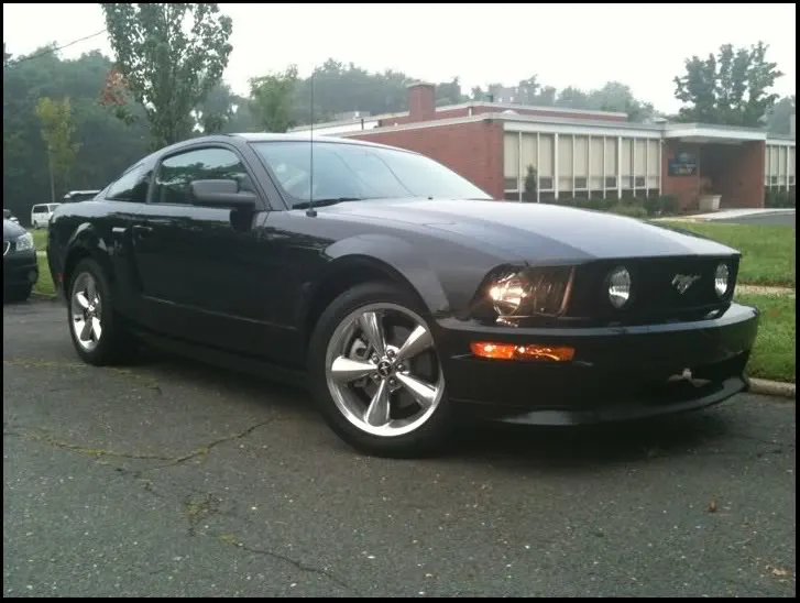 Mustang.webp