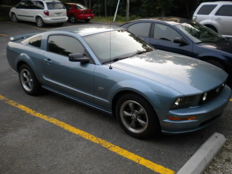 Mustang.webp