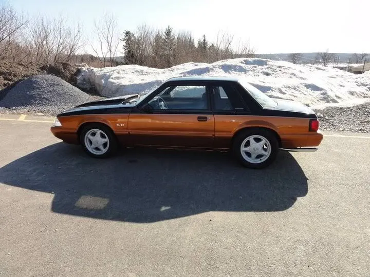 mustang.webp