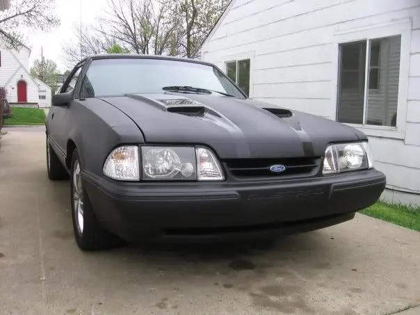 mustang.webp