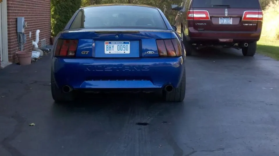 mustang.webp