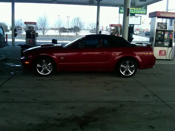 mustang.webp