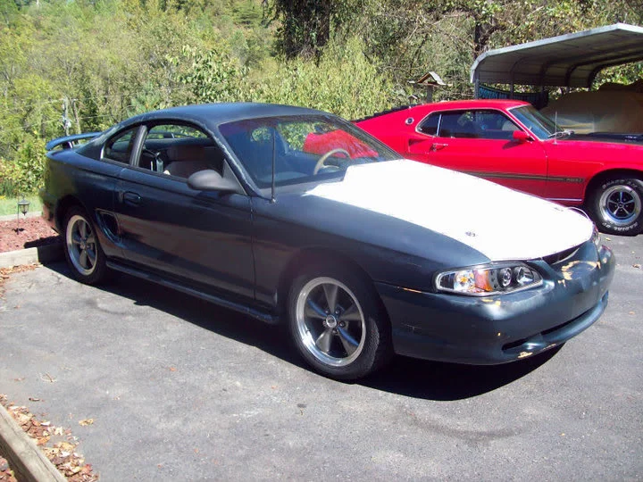 mustang.webp