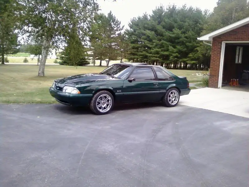 mustang.webp