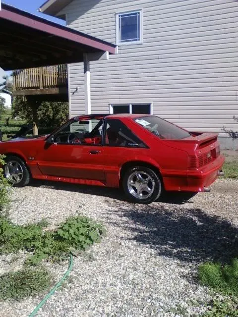mustang.webp