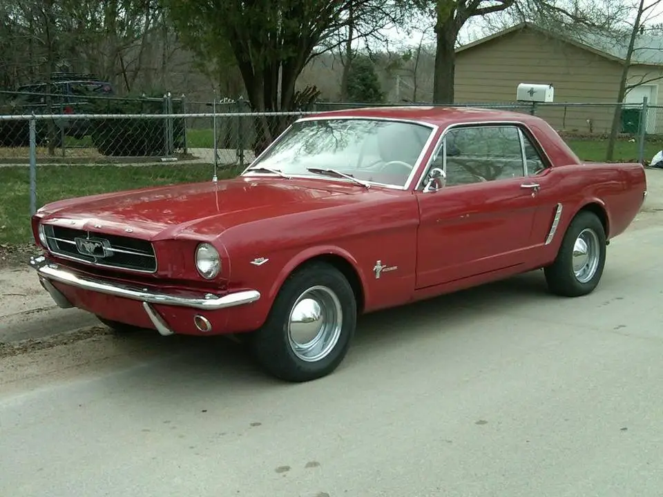 Mustang.webp