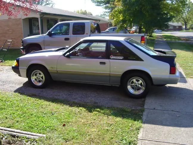 mustang.webp