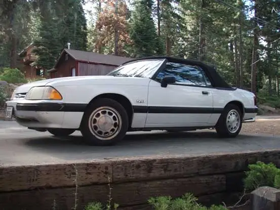 mustang.webp