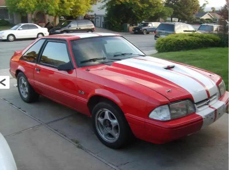 Mustang.webp