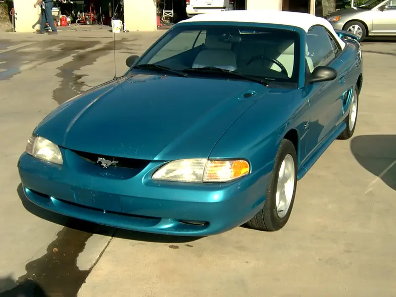 mustang.webp