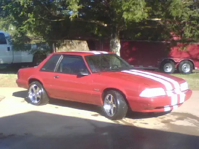 mustang.webp