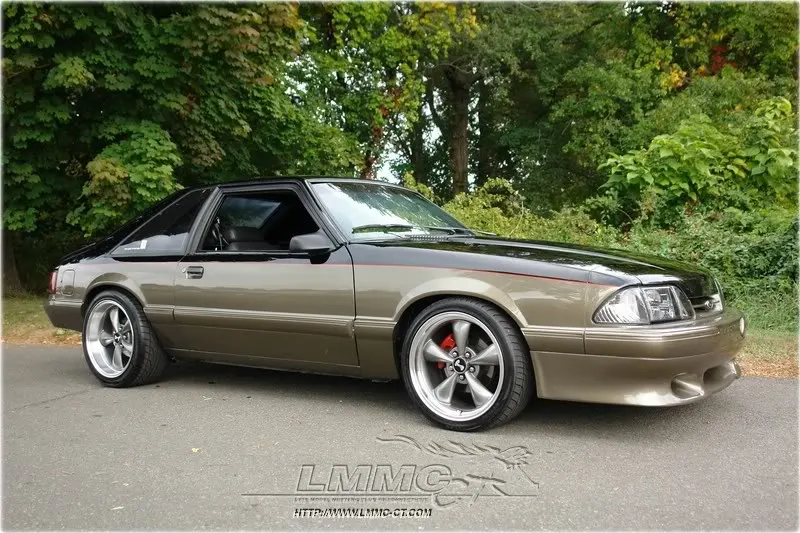 Mustang.webp
