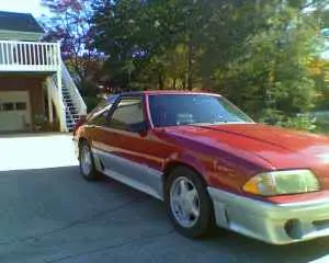 mustang.webp