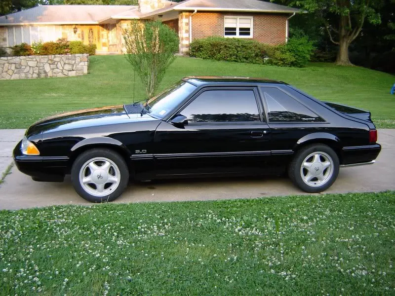 Mustang.webp
