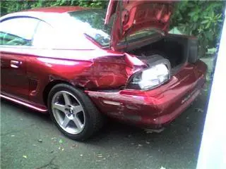 mustang.webp