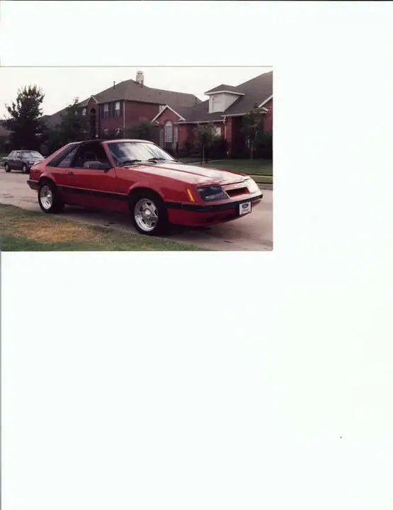 Mustang.webp