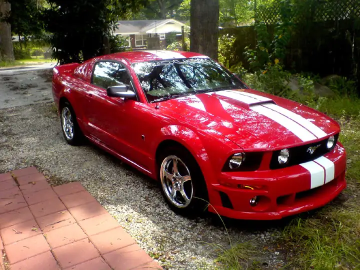 mustang.webp