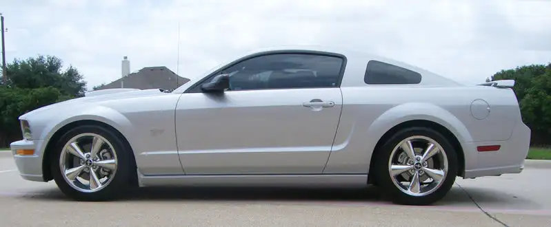 Mustang.webp