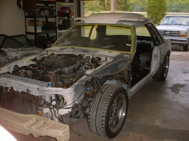 mustang.webp