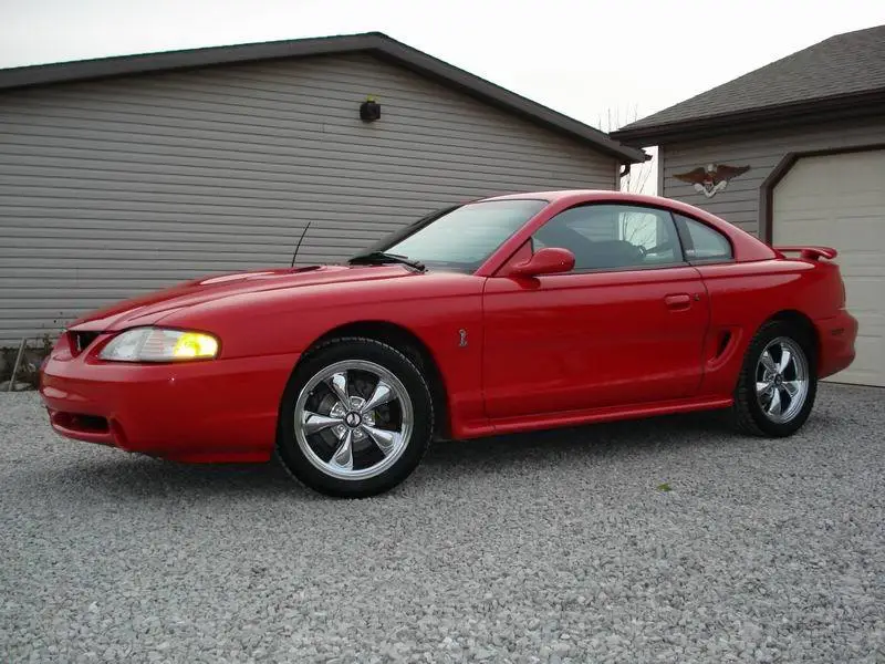 Mustang.webp