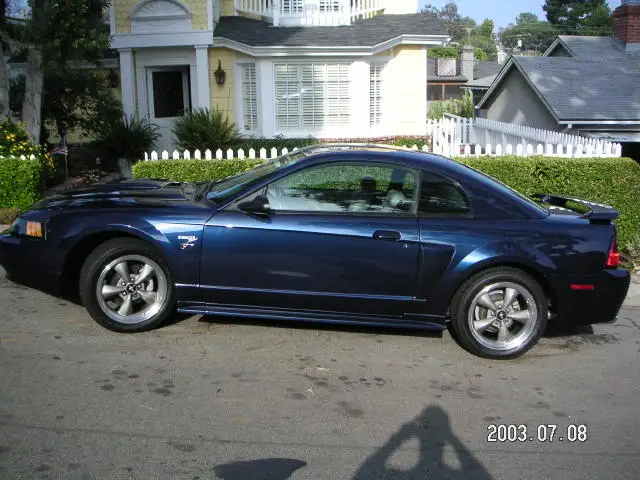 mustang.webp