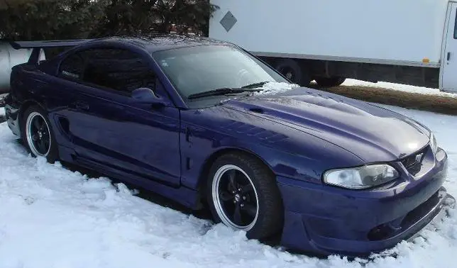 mustang.webp