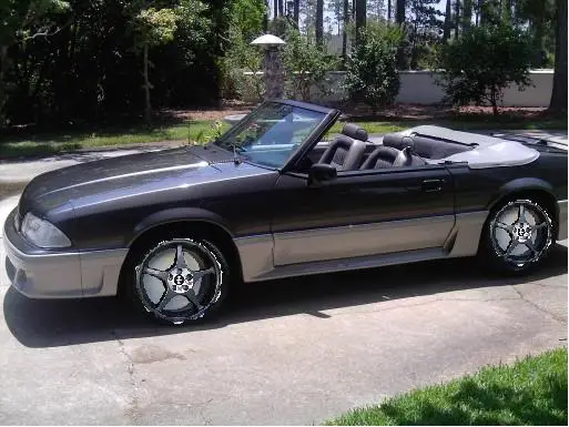 mustang.webp