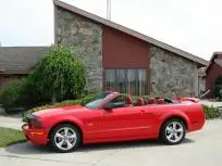 MUSTANG.webp