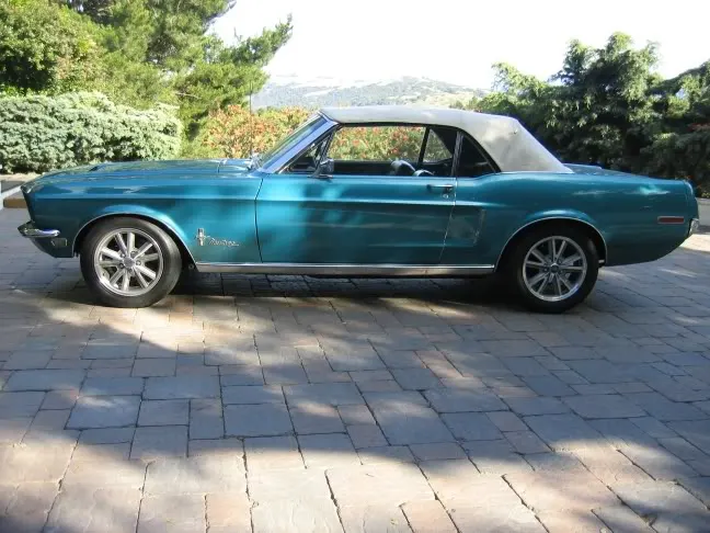 mustang.webp