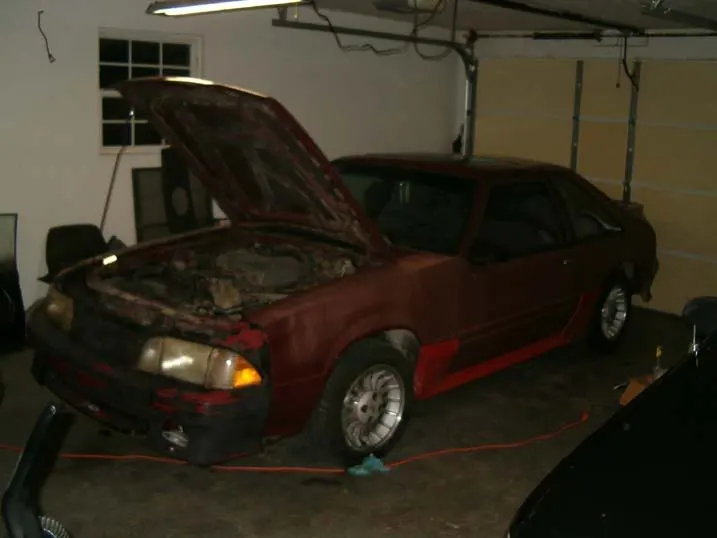 Mustang.webp