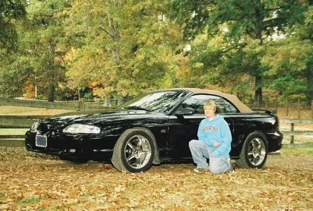 mustang.webp