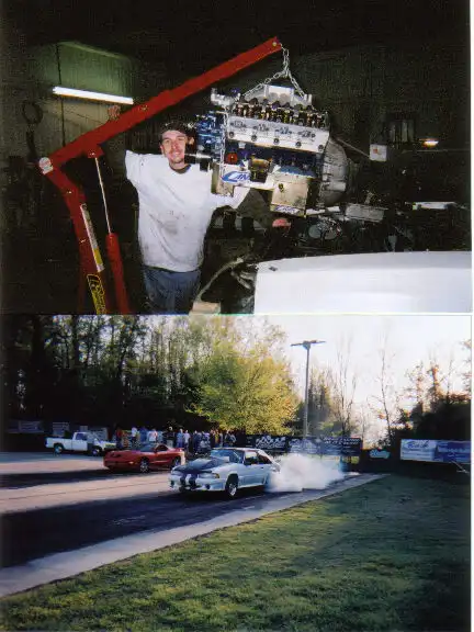mustang.webp