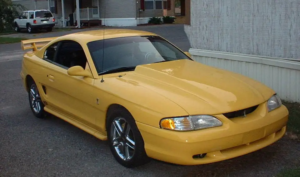 mustang.webp