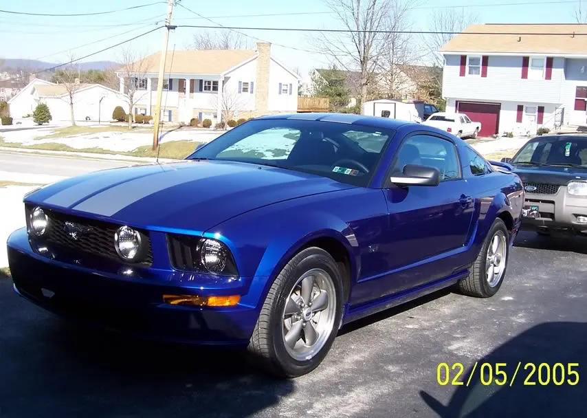 Mustang.webp