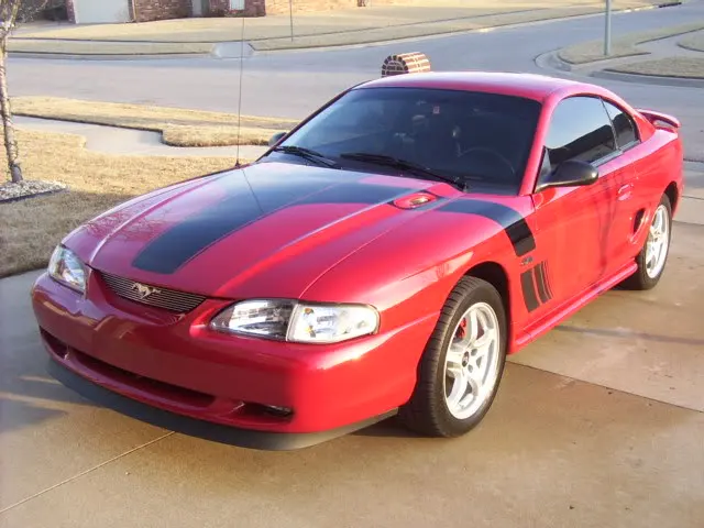 mustang.webp