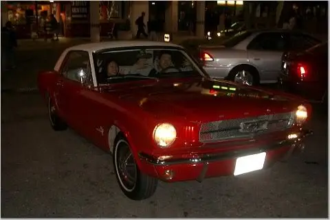 Mustang.webp