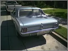 Mustang.webp