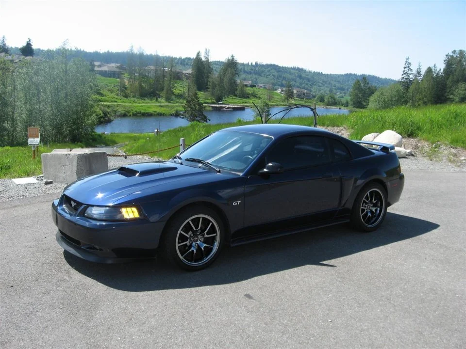 mustang.webp