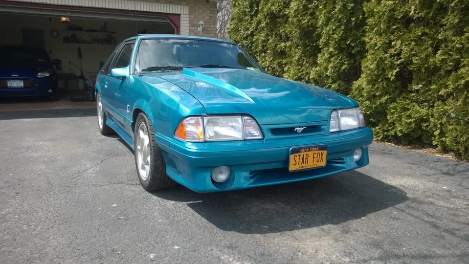 Mustang.webp