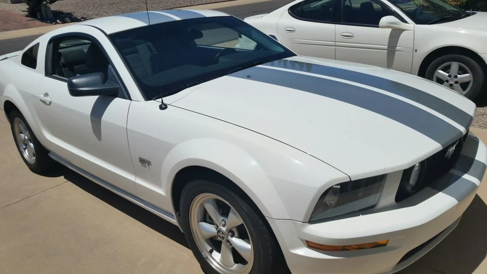 mustang.webp
