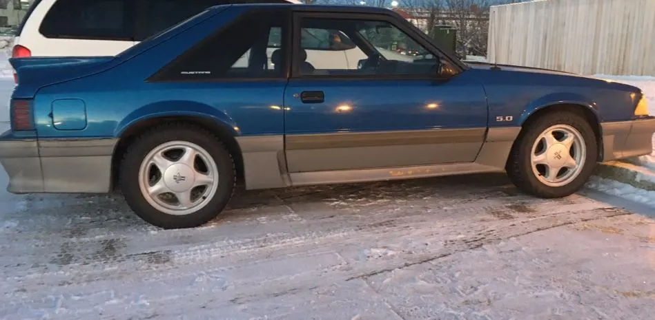 mustang.webp