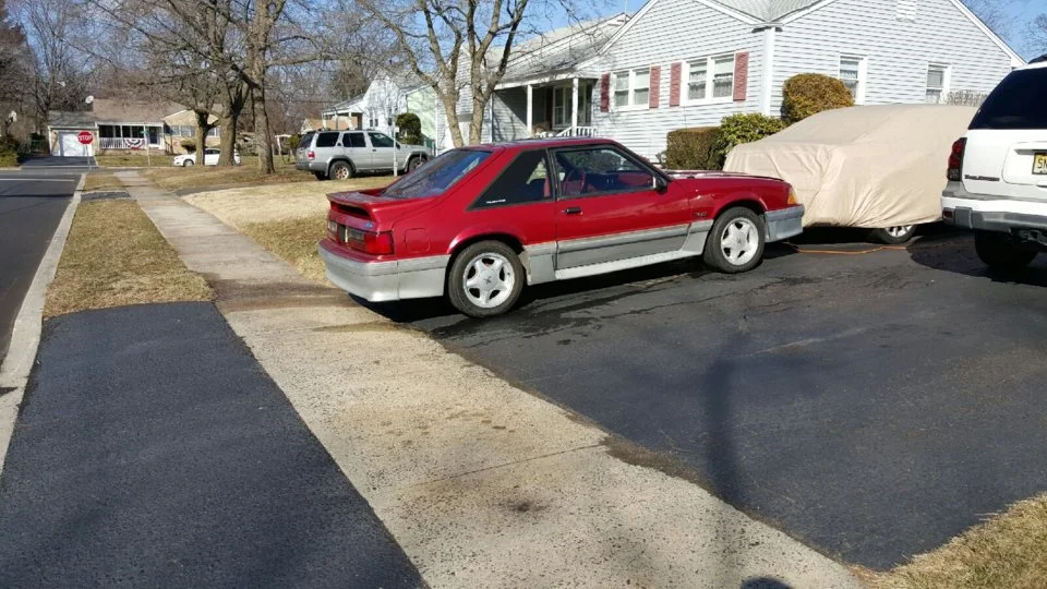 mustang.webp