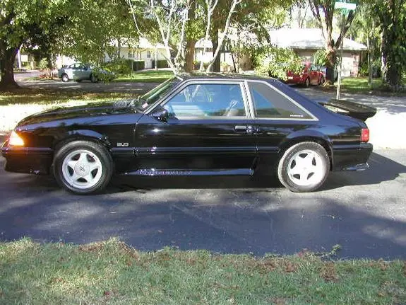 mustang.webp